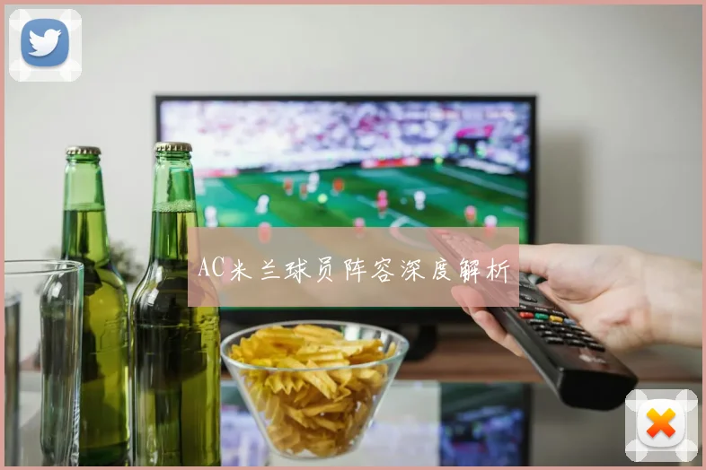 AC米兰球员阵容深度解析